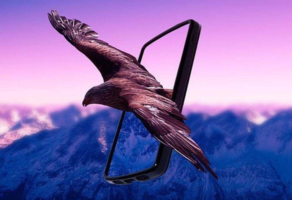 Lg Wing Review