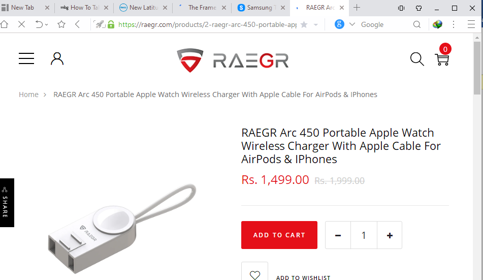 RAEGR Arc 450 portable charger review