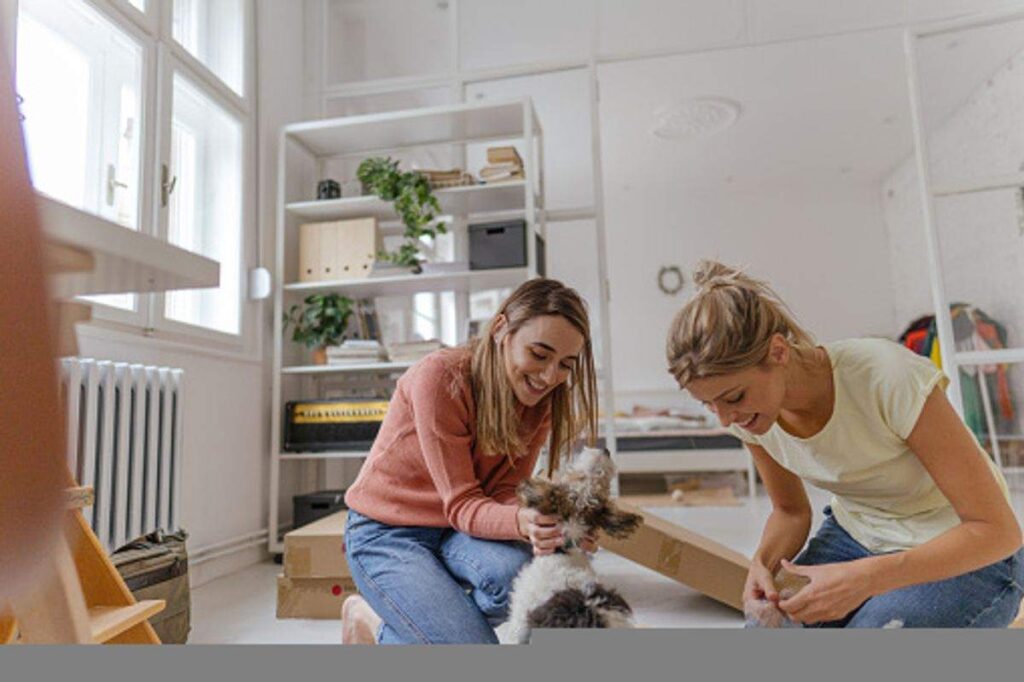What to Get for a New Puppy