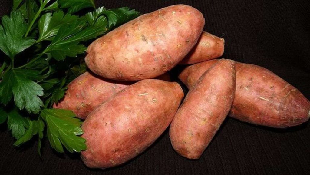 what is the glycemic index of a sweet potato