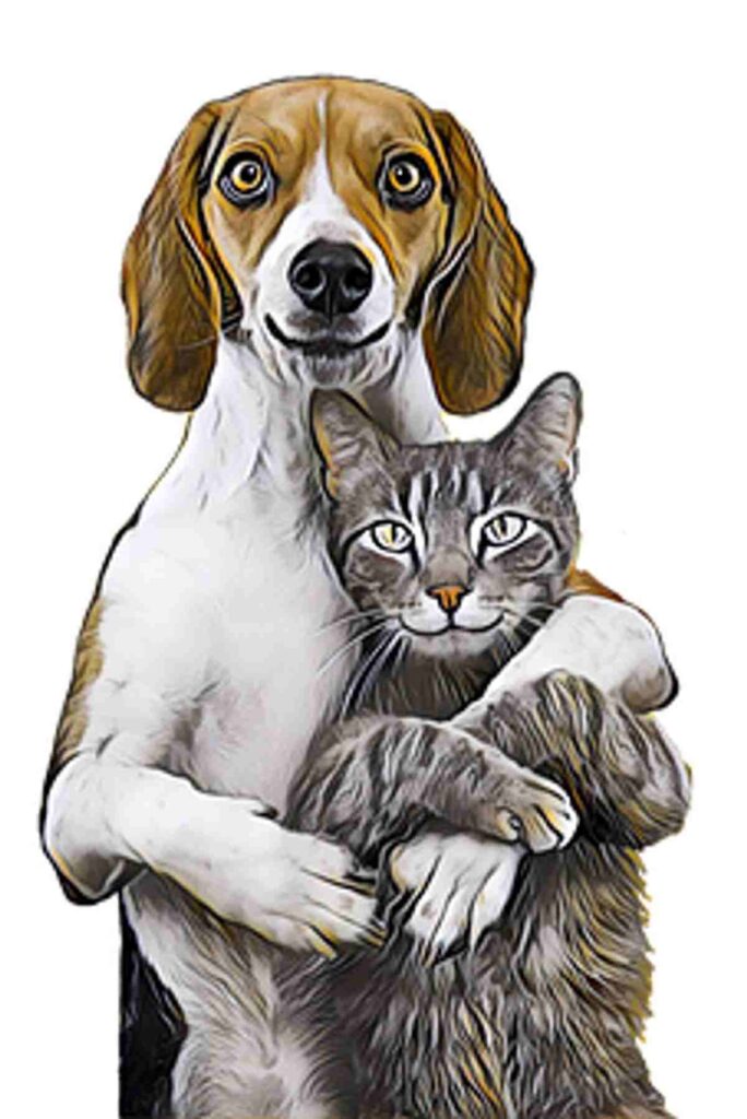 Dogs Vs Cats As Pets