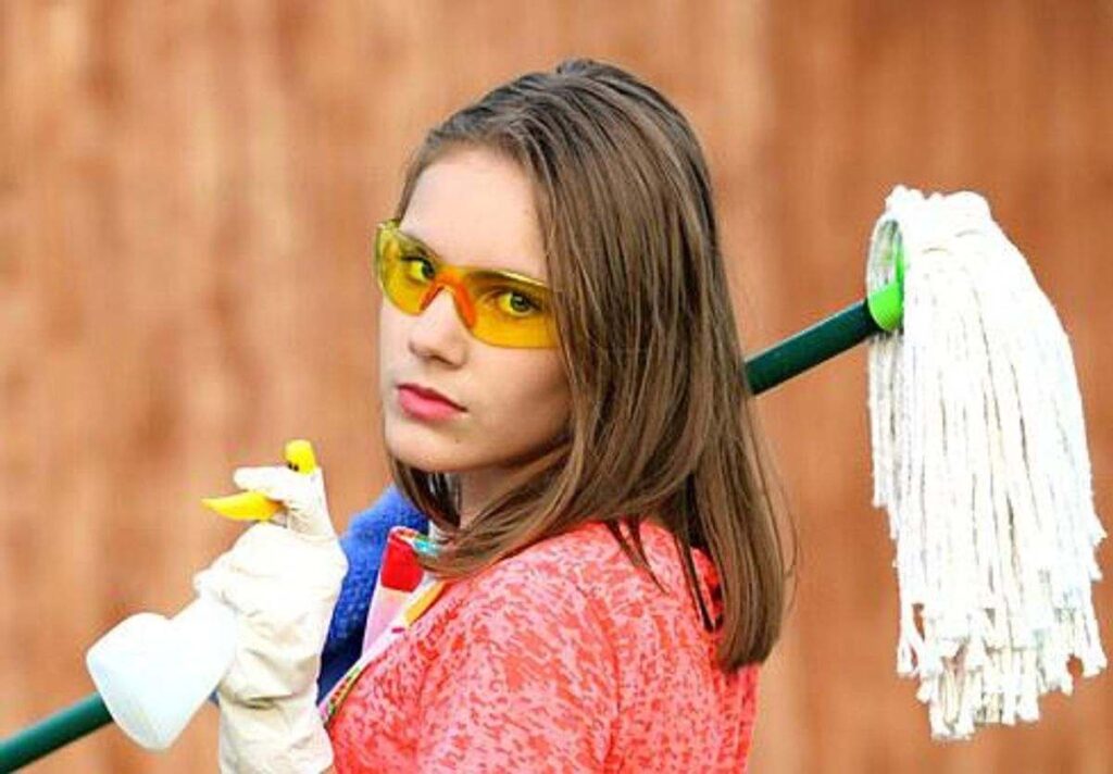 Domestic Cleaning Or Commercial Cleaning