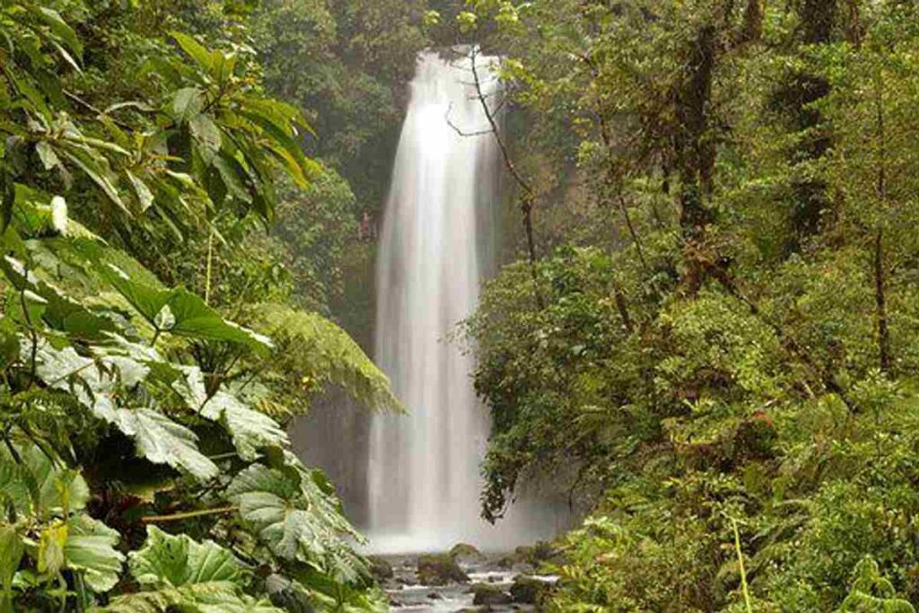 Costa Rican Vacations Reviews