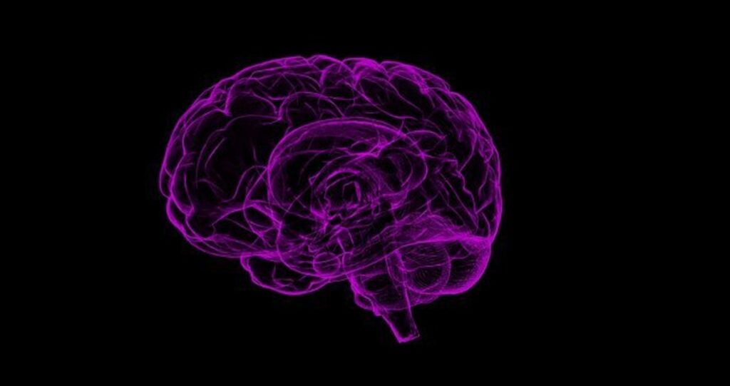 alzheimer's