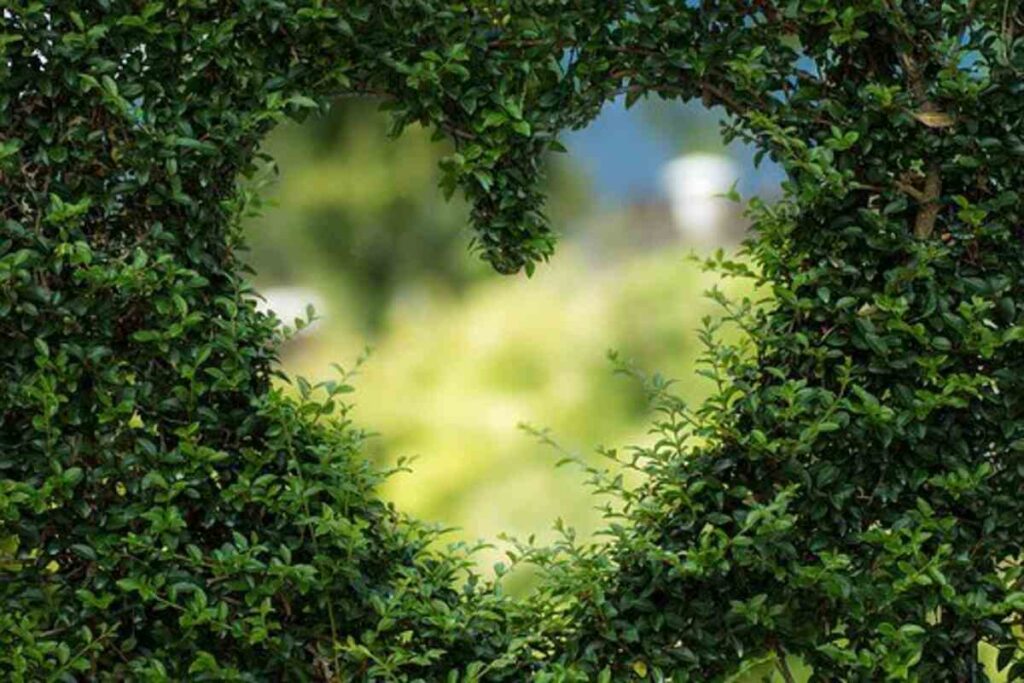 Batu Love Garden 1 batu love garden