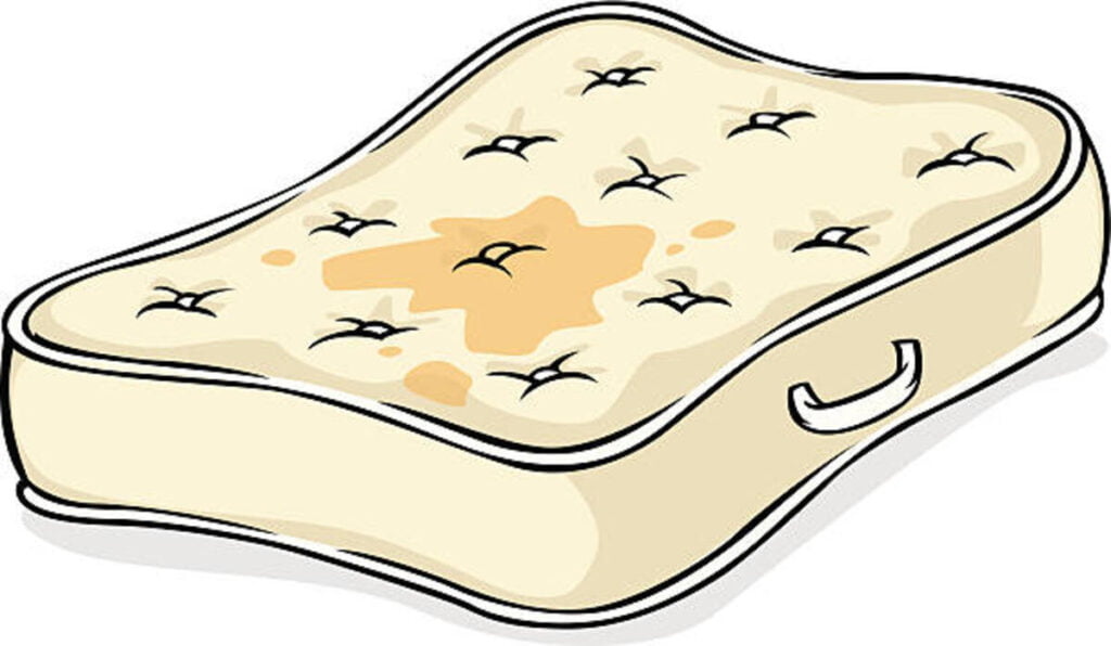 how to get pee out of a mattress
