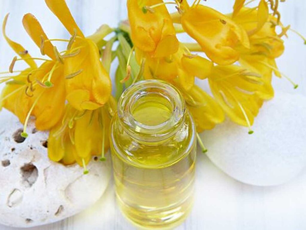 Beauche Review