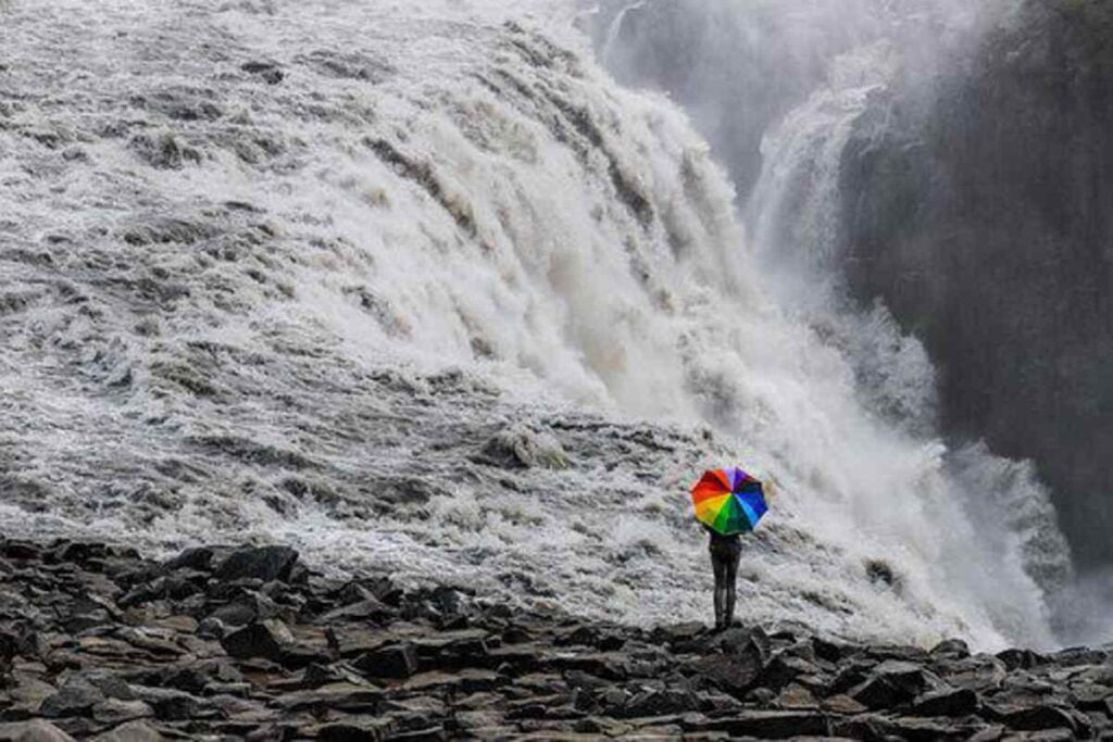 places to visit in dandeli