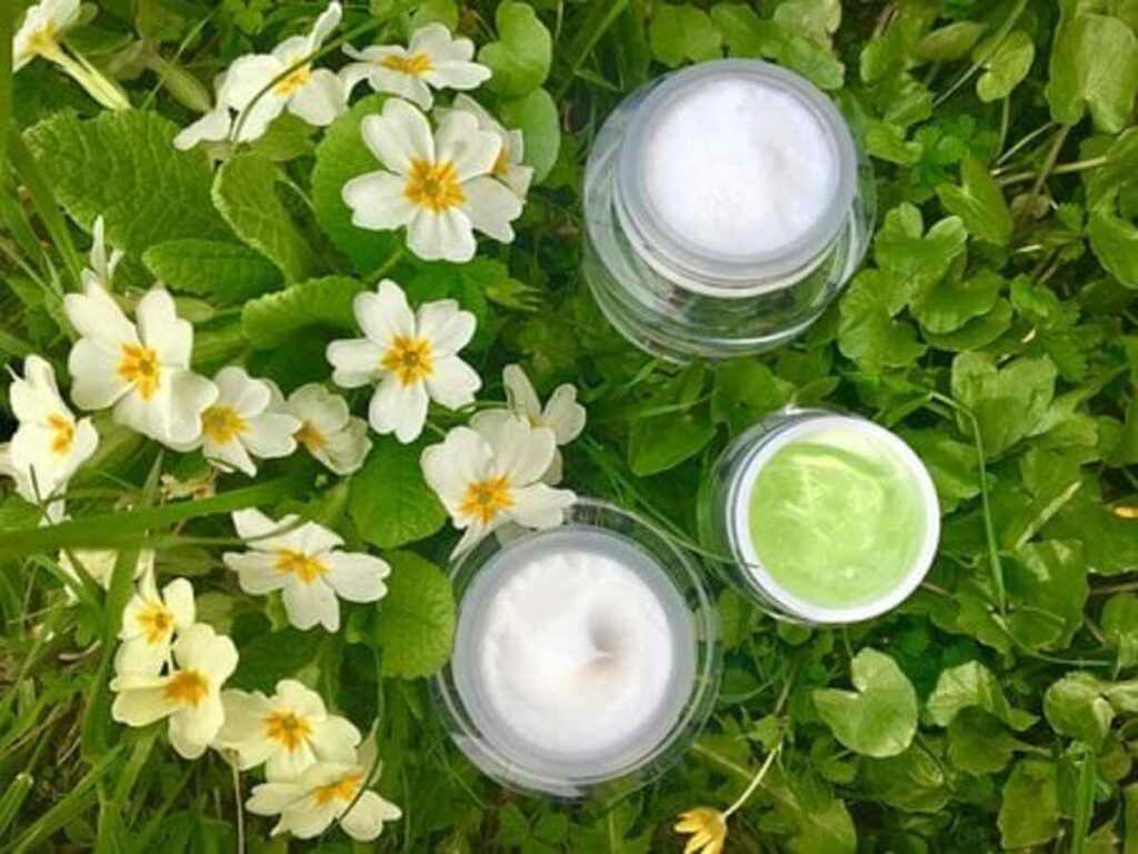Dr Hauschka Revitalizing Day Cream