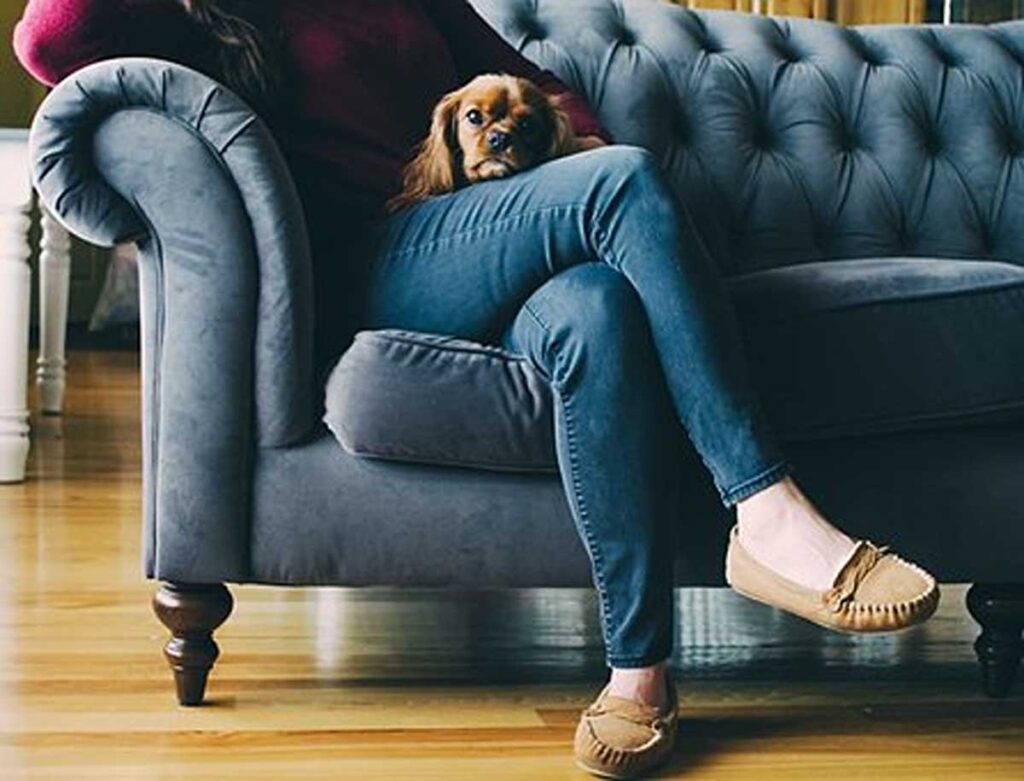 Madewell Curvy Jeans Review