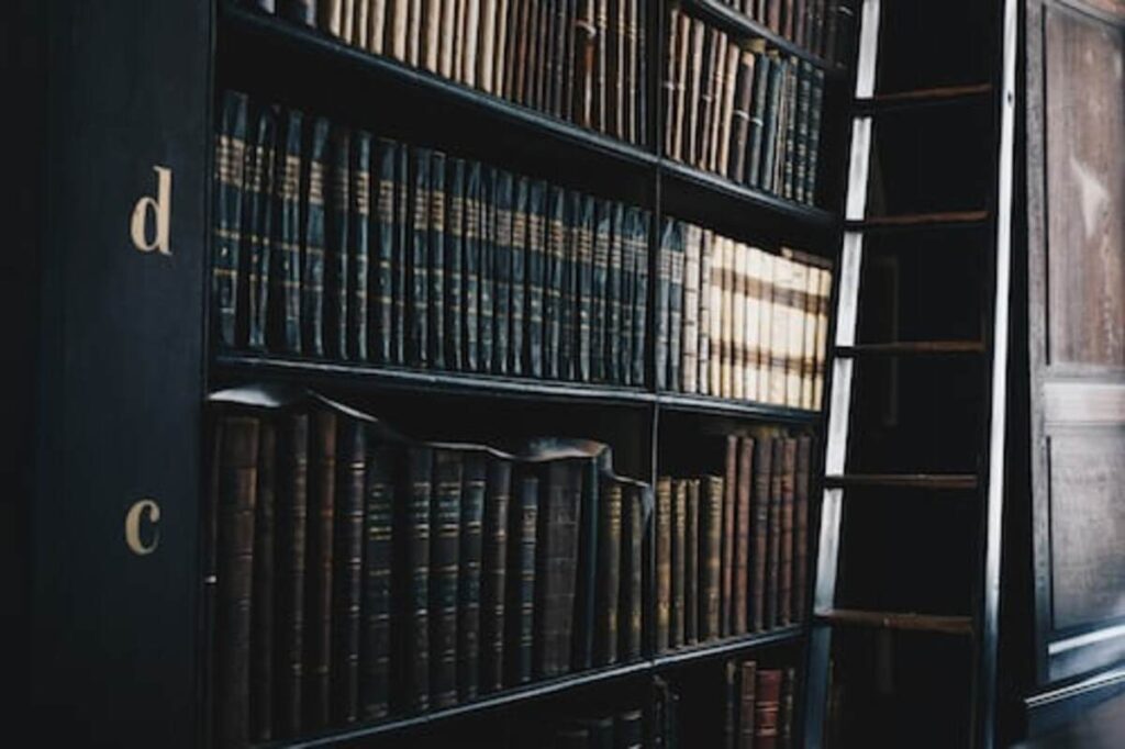 the best bail bonds in San Jose