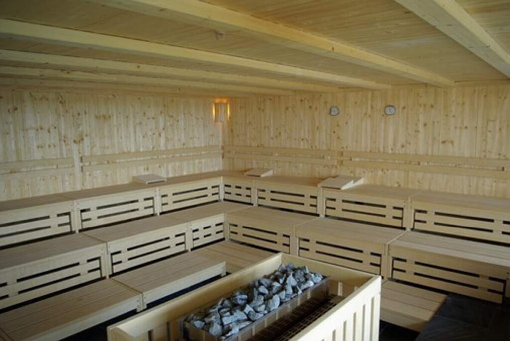 finnleo sauna reviews