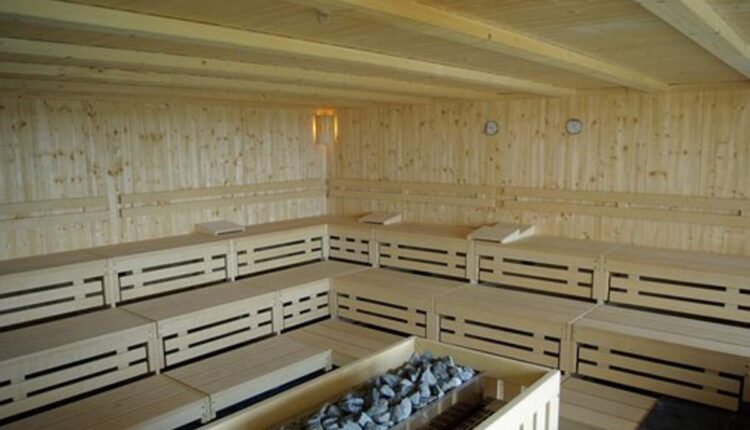 finnleo sauna reviews