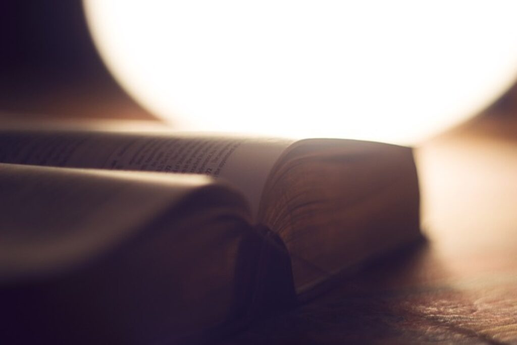 God Rewards All Who Look for Him: The Scripture of Today 1 Scripture of Today