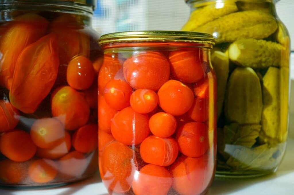 survival food kit