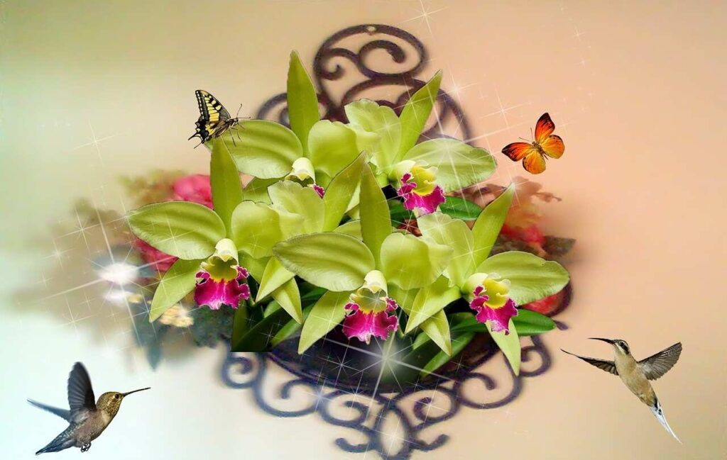 Dog Planter
