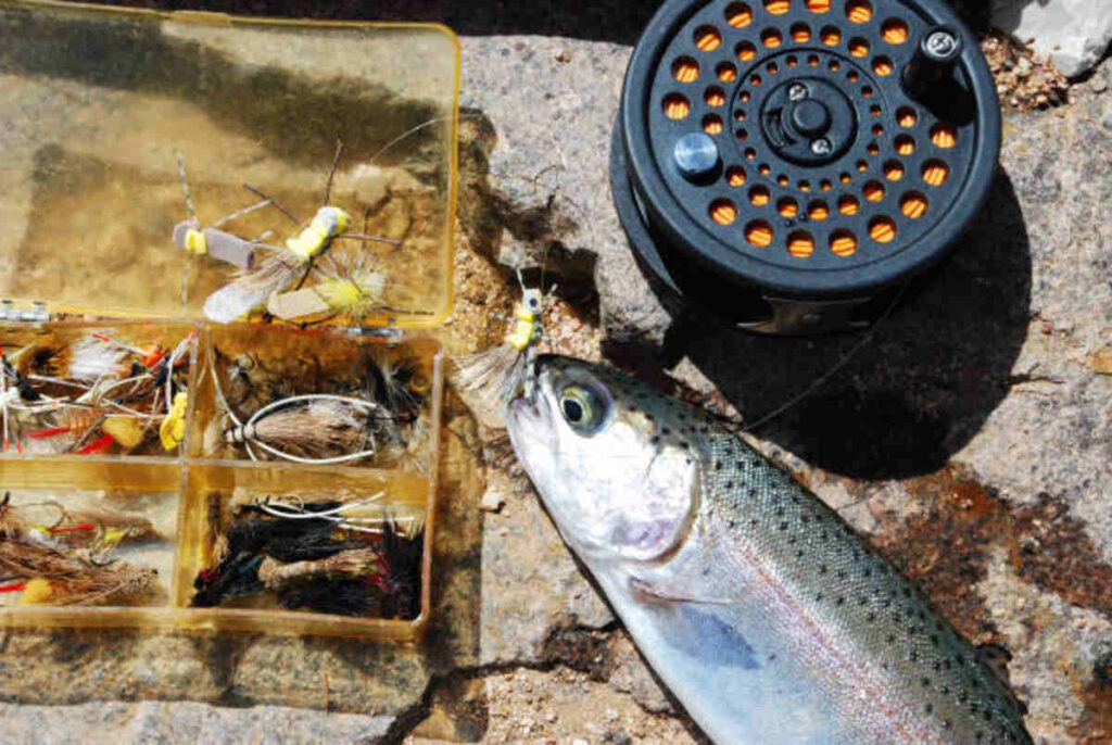 California Free Fishing Days