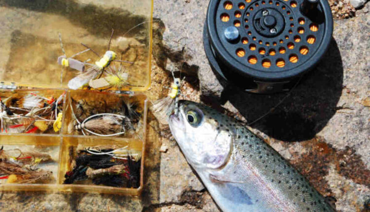 California Free Fishing Days