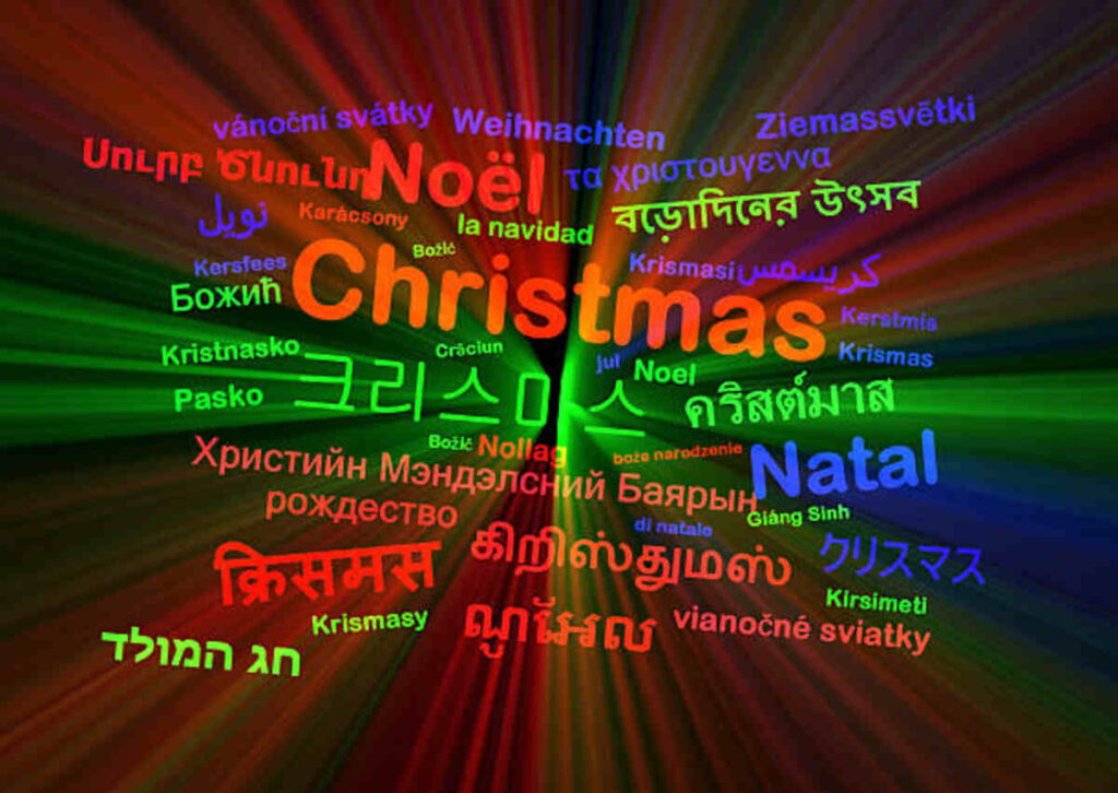 Did You Say Something Meaning in Hindi
