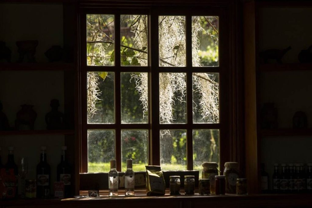 solar film for windows singapore 5