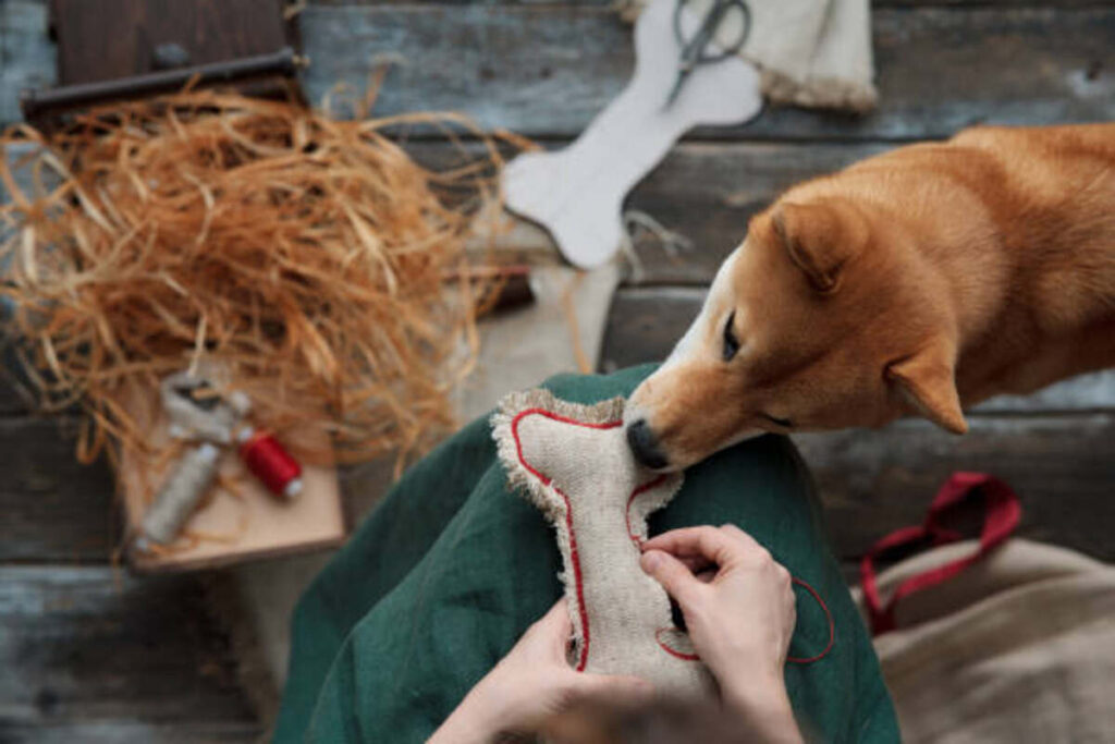 Top Durable Dog Toys for Aggressive Chewers